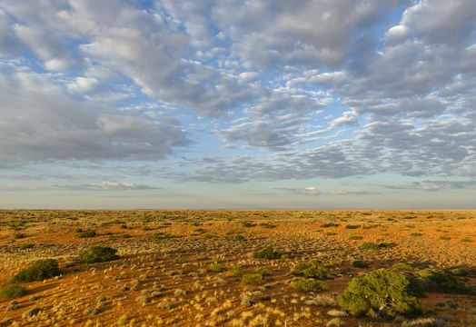 Arc Minerals Limited - Arc Minerals raises &pound;3m to explore Zone 5 corridor of Kalahari copper belt