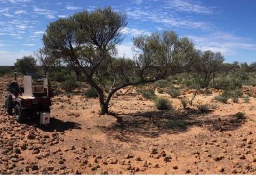 St George Mining Ltd - St George drilling extends Arax&aacute; rare earths-niobium mineralisation