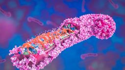 Island Pharmaceuticals - Inside Biotech: Island Pharmaceuticals pushes deeper into US biodefence as Ebola fears spark interest