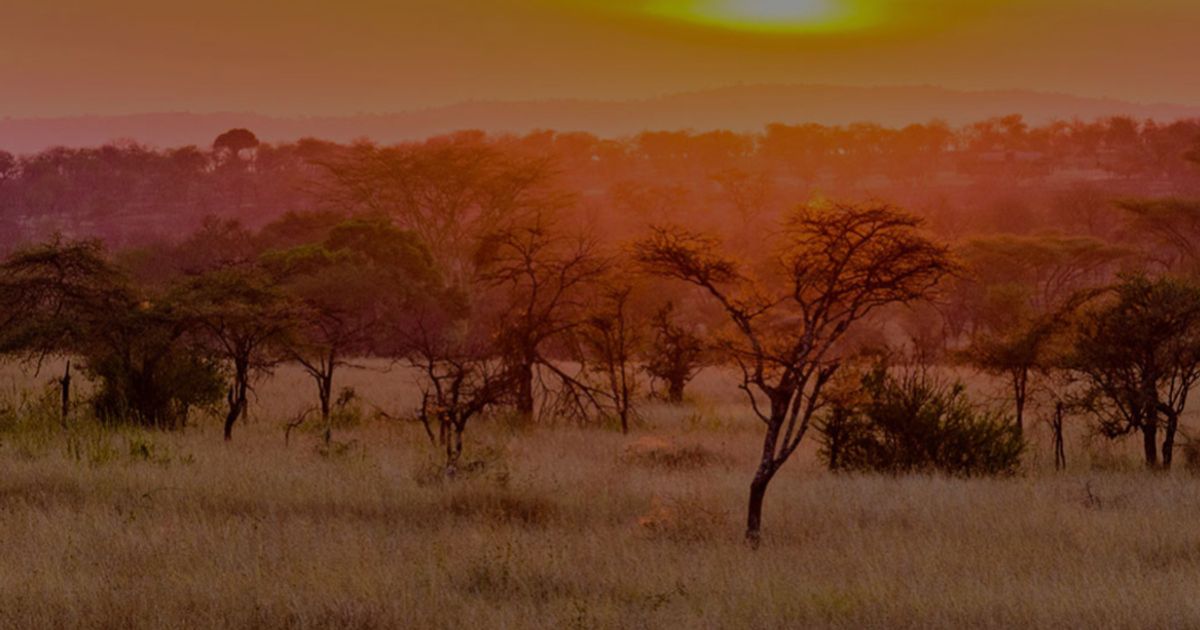 Resource Minerals International to begin drilling at Tanzania...