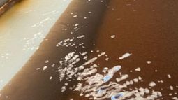 Sovereign Metals Ltd - Sovereign Metals confirms heavy rare earths across planned Kasiya pits