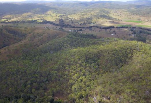 NewPeak Metals Ltd - NewPeak Metals extends Tansey gold system beyond historic mine workings