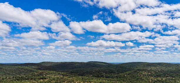 Lightning Minerals Ltd - Lightning Minerals advances Mt Turner as district-scale gold ambitions grow
