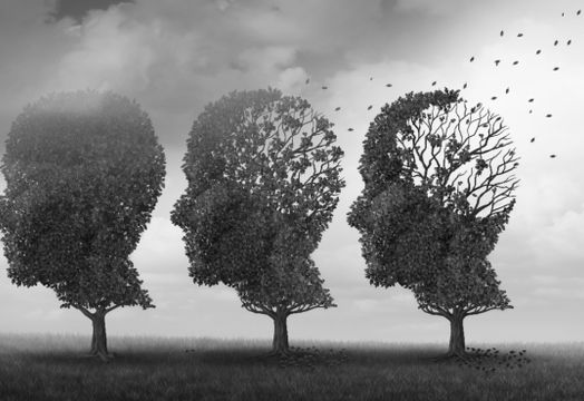Grey Matters Health - 