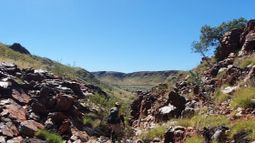 Novo Resources Corp - Novo Resources unveils maiden 87,000-ounce gold resource at Victorian Belltopper project