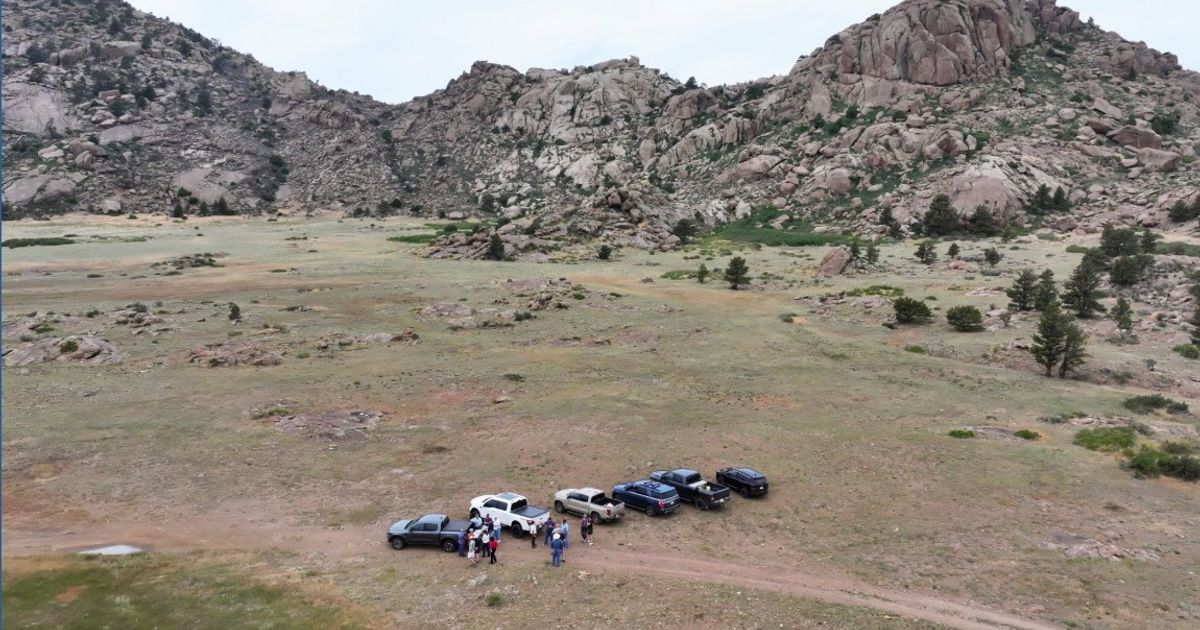 American Rare Earths advances Halleck Creek as 2026 drilling...