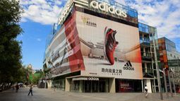 adidas AG - adidas promises strong earning growth but still looks cheap says analyst