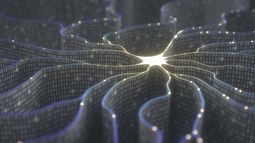 Miivo AI - Miivo AI CEO on the future of AI-native businesses - ICYMI