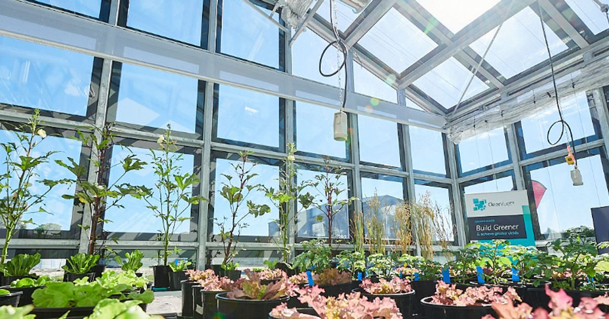Caledonia to invest £60 million in garden centre operator Blue Diamond ...