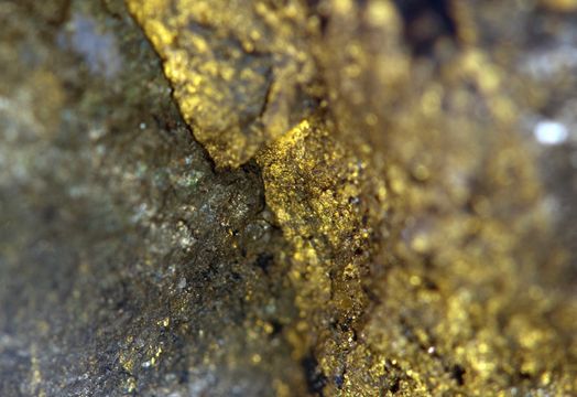Dundee Precious Metals Inc - Dundee Precious Metals positioned for resource growth following Chelopech discovery: Jefferies