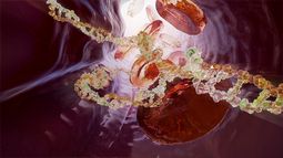 Imugene showcases Azer-Cel progress at ASCO - ICYMI