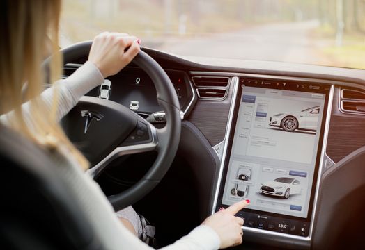 Tesla Inc - Elon Musk says he is adding a voice interface to full self-driving while regulators investigate it for missed hazards