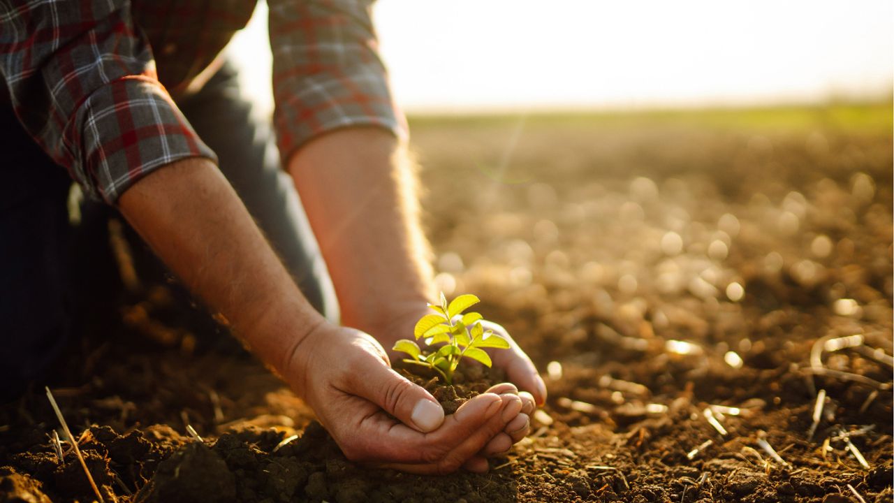 Replenish Nutrients Holding Corp - 
