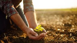 Replenish Nutrients Holding Corp - 