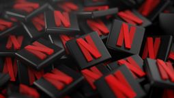 Netflix Inc - Netflix shares fall as quarterly revenue misses expectations
