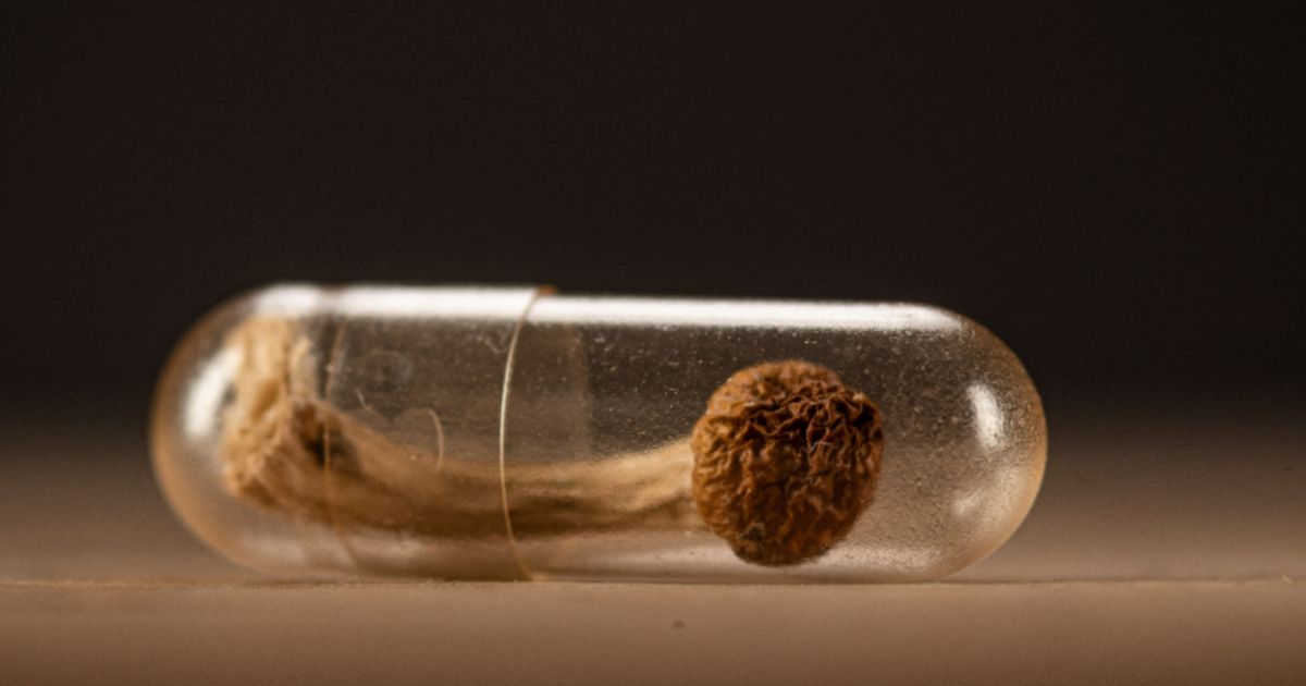 Johnson & Johnson’s Spravato sales growth supports psychedelic drug opportunity: Jefferies