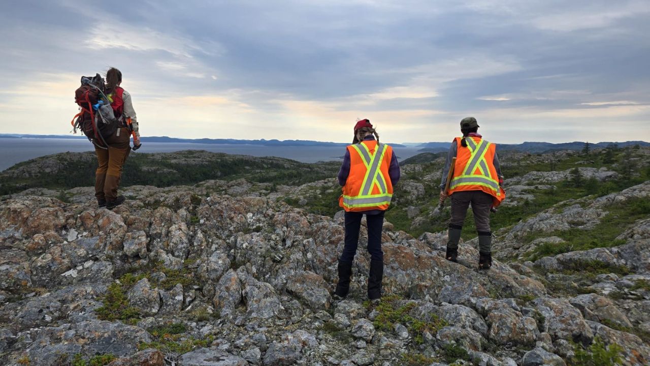 FireFly Metals Ltd - FireFly Metals&rsquo; June quarter delivers exceptional Green Bay copper-gold results ahead of August study