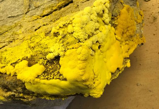 Purepoint Uranium Group Inc - 