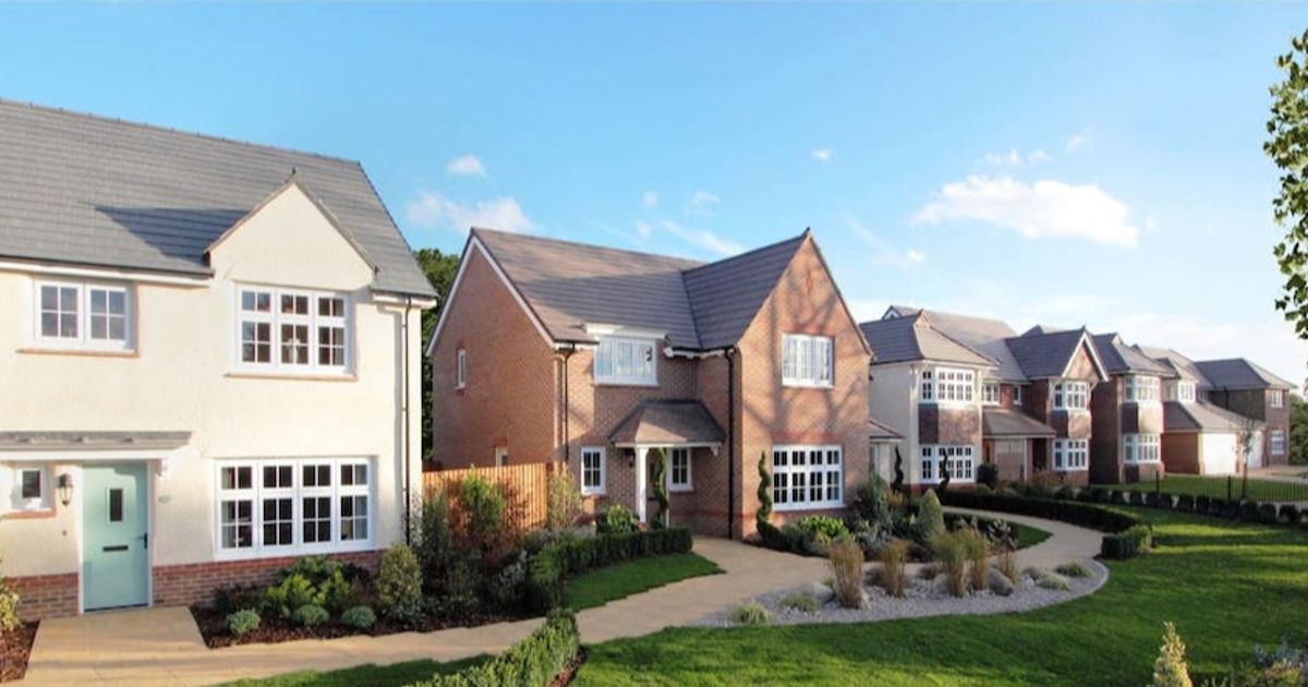 Barratt Redrow rallies after betting on buybacks as cash pile beats forecasts - UPDATE