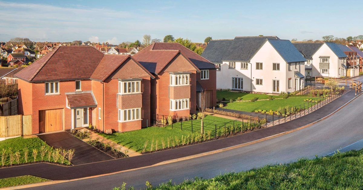 Taylor Wimpey cuts shareholder returns amidst 'housing market uncertainty'