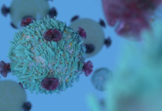 cancer cells