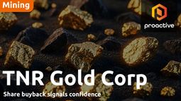 TNR Gold chair: Altius, McEwen, Ganfeng, Lundin and BHP support royalty-focused growth strategy