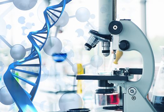 Novo Nordisk - 