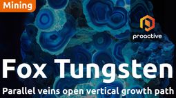 Fox Tungsten intersects visible Scheelite across multiple drill targets at Fox project