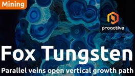 Fox Tungsten intersects visible Scheelite across multiple drill targets at Fox project