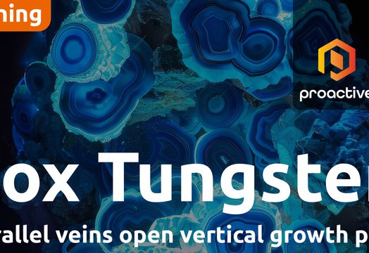 Fox Tungsten intersects visible Scheelite across multiple drill targets at Fox project