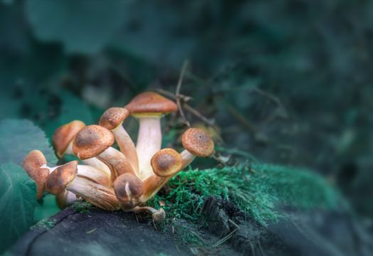 AtaiBeckley Inc. - AtaiBeckley acquisition highlights growing Big Pharma interest in psychedelics, says Jefferies