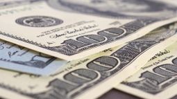dollars