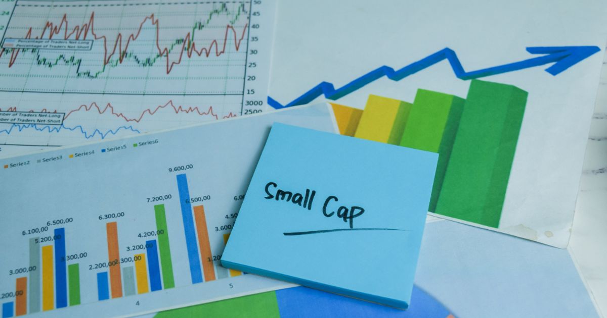 SMALL-CAP MOVERS: A Silicon Valley shopping list, an 80% jumper...