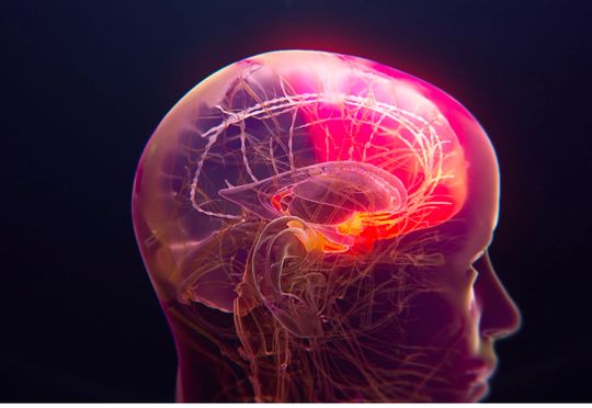 Actinogen Medical targets Alzheimer&rsquo;s treatment gap in projected $20BN market