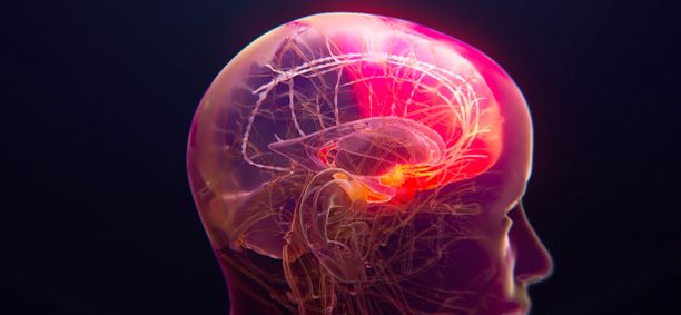 Actinogen Medical targets Alzheimer&rsquo;s treatment gap in projected $20BN market