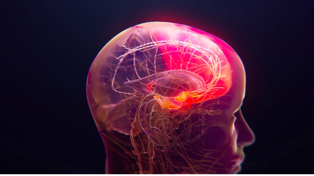 Actinogen Medical Ltd - Actinogen Medical targets Alzheimer&rsquo;s treatment gap with oral Xanamem ahead of pivotal readout
