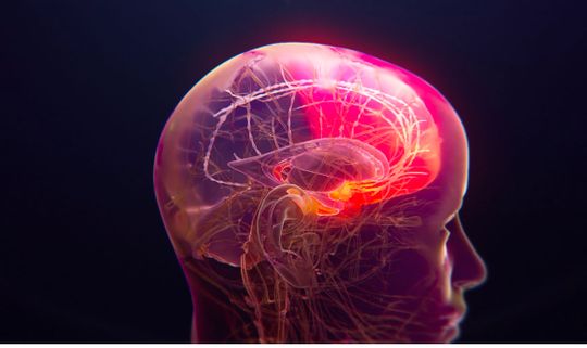 Actinogen Medical Ltd - Actinogen Medical targets Alzheimer&rsquo;s treatment gap with oral Xanamem ahead of pivotal readout
