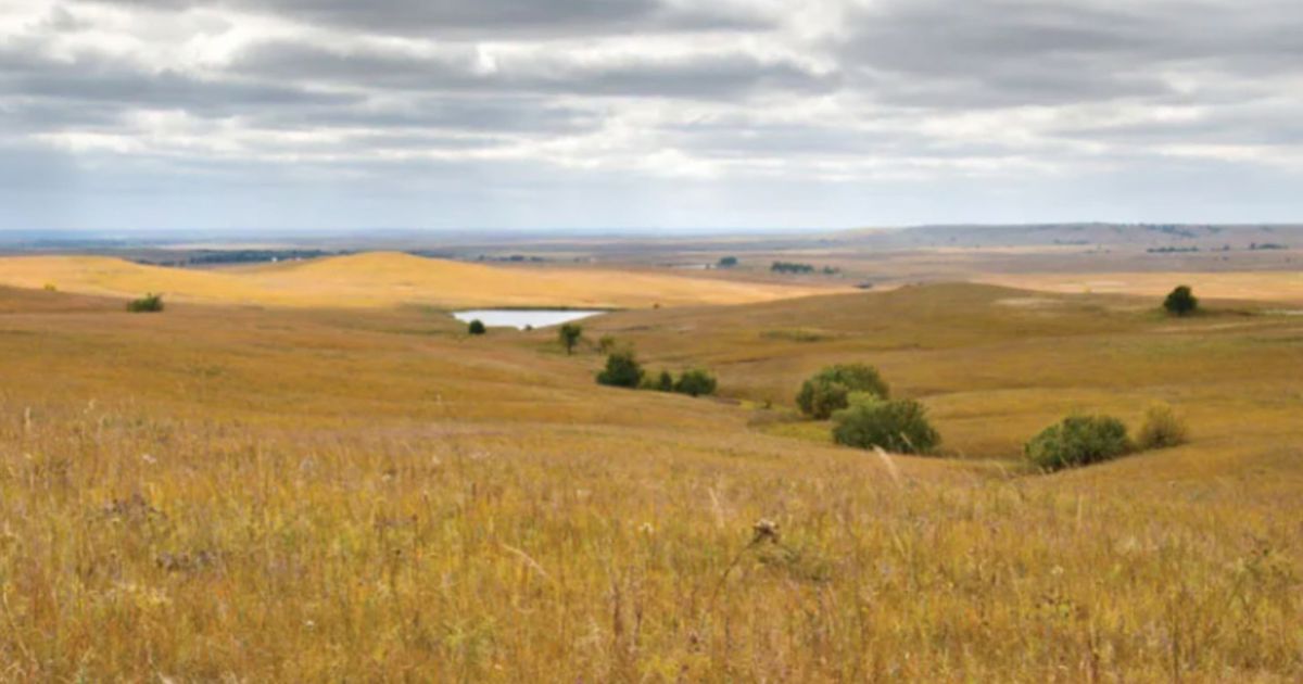 Sentinel Metals hits 46.8 metres at 5.5 g/t gold in maiden Columbia drill hole