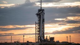 SpaceX Corp - SpaceX shares rise despite release of locked-up shares