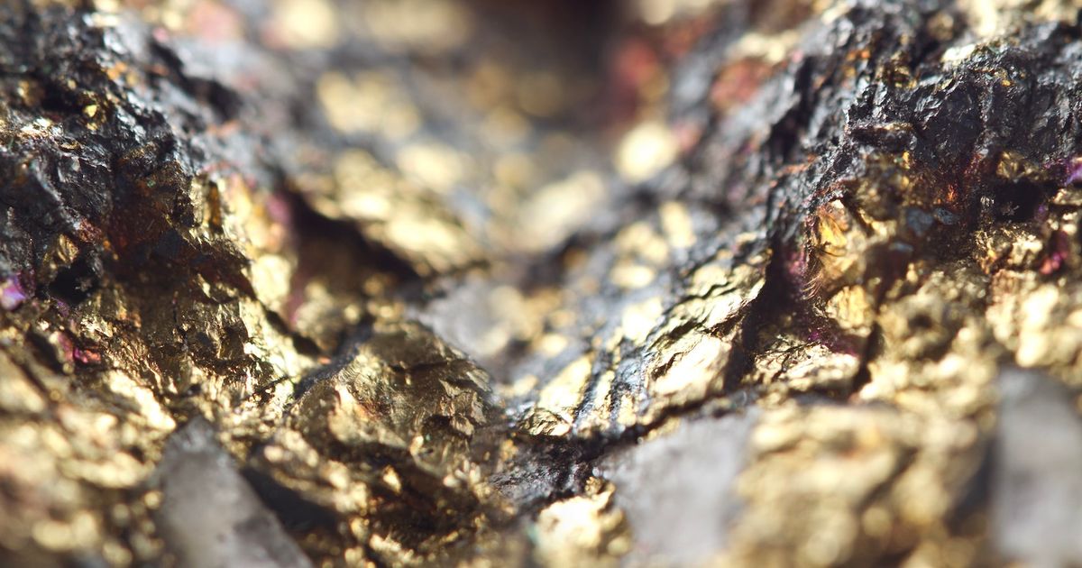 Novo Resources outlines gold and copper drilling pipeline backed by liquid investment portfolio - ICYMI
