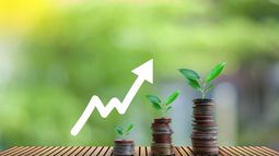 Pantoro Gold Ltd - 