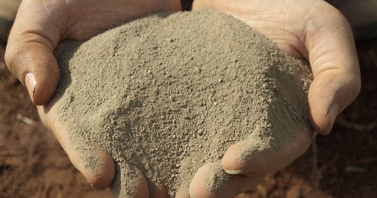 Harvest Minerals shares fall 9% as interim results show net liabilities ...