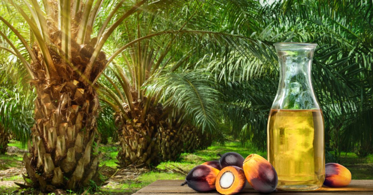 MP Evans: Brokers hail positives of changing mix in production