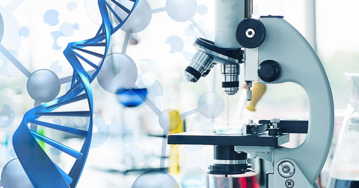 Revolutionary Breakthroughs in Immunotherapy: A New Hope for Cancer Patients