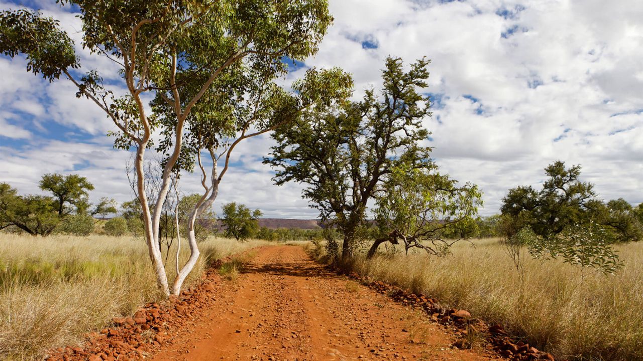 AuKing Mining flags Cloncurry setback, advances Canada targets and ...