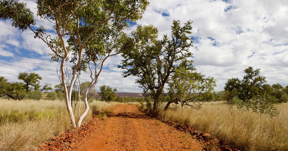 AuKing Mining flags Cloncurry setback, advances Canada targets and...