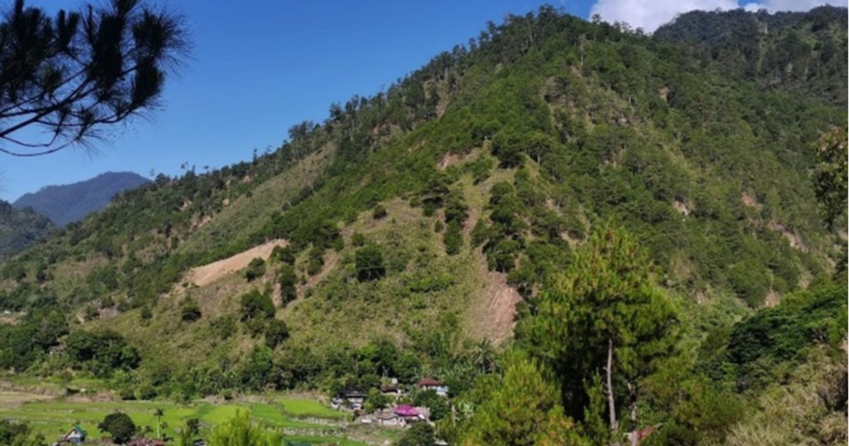 Celsius Resources confirms improved economics for MCB copper-gold...