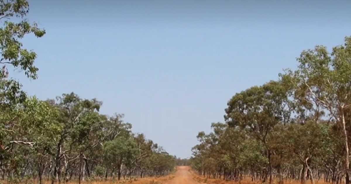 VBX lifts Wuudagu resource 108% with initial D, E and F MRE