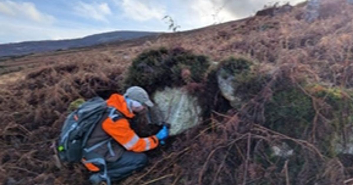 European Lithium posts strengthened cash position, Tanbreez...