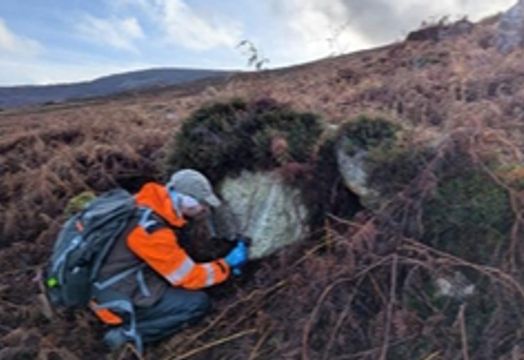 European Lithium Ltd - European Lithium posts strengthened cash position, Tanbreez advances in December quarter
